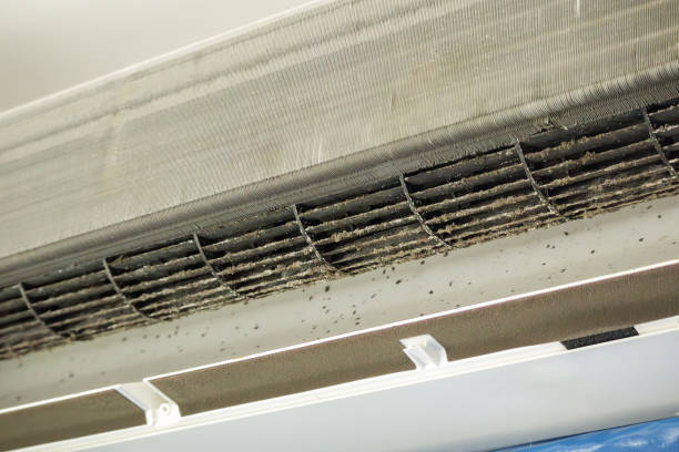 Best Best Air Duct Cleaning Company  in Columbia Heights, MN