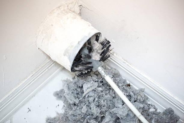 Best Air Duct Mold Removal  in Columbia Heights, MN